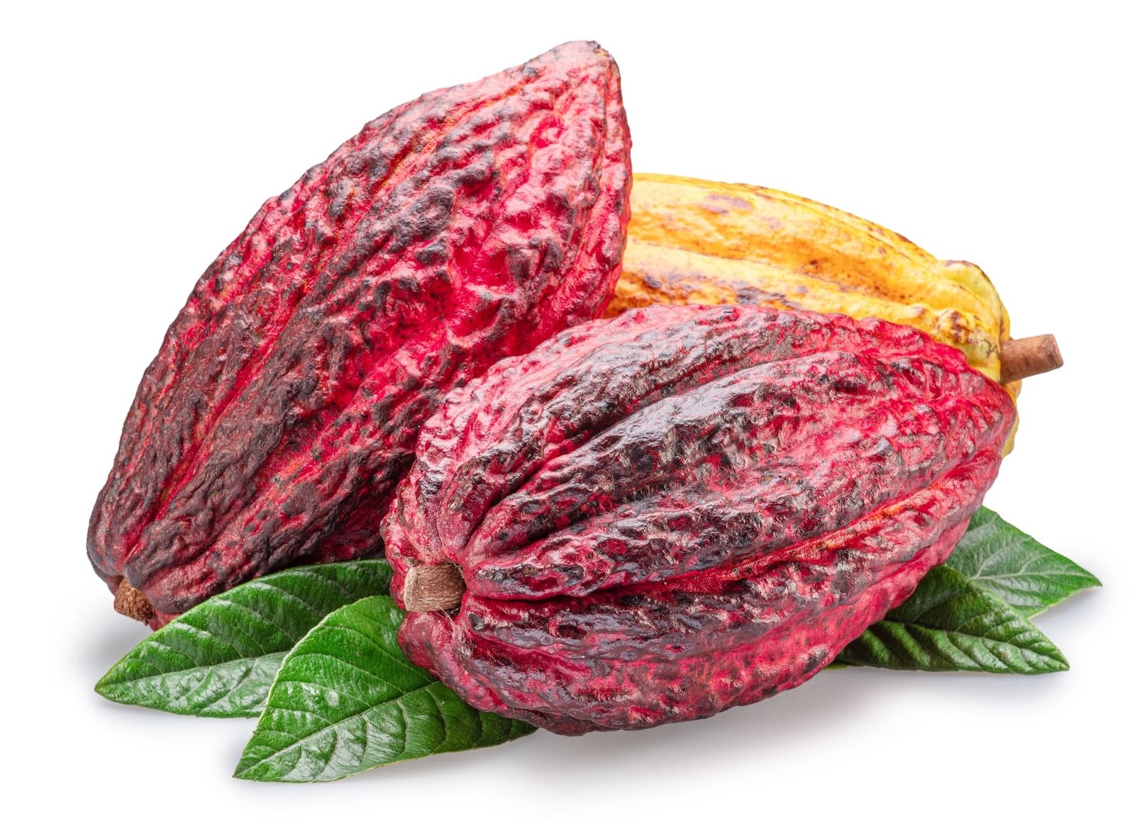 Global Cocoa Prices Tumble as Market Volatility Intensifies; Coffee Also Declines global cocoa prices tumble as market volatility intensifies; coffee also declines
