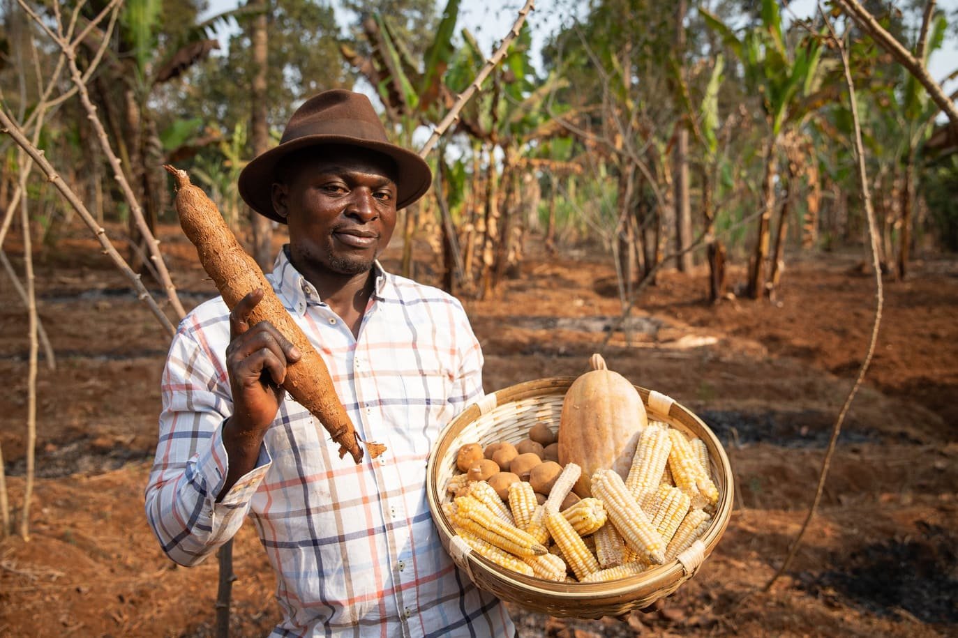 nigeria launches us$500 million agriculture fund to boost food security and private investment