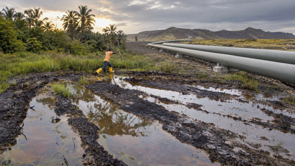 oil pipelines running through a wetland area near vegetation and farmland.